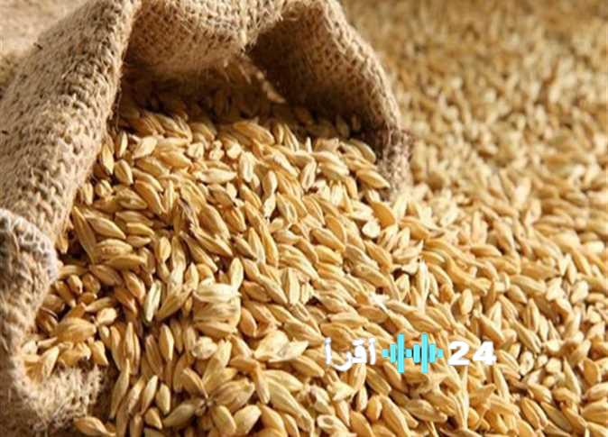 «تحركات حاسمة لسوق الأرز» مصر ترصد سعر طن الأرز الشعير اليوم الاثنين 22 ديسمبر 2025 ومؤشرات التغيرات الأخيرة