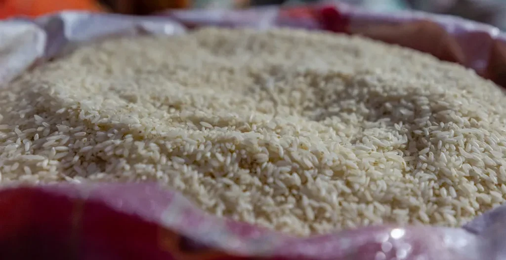 أسعار الأرز اليوم في مصر تشهد استقرارا ملحوظا بالأسواق وسعر الكيلو يصل إلى 36 جنيها