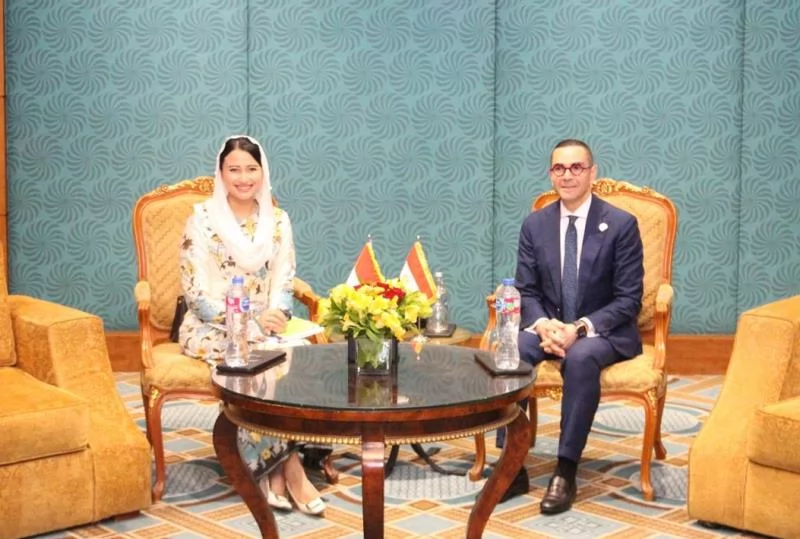 «تعزيز التعاون الاقتصادي» وزير الاستثمار يلتقي نائبة وزير التجارة الإندونيسي