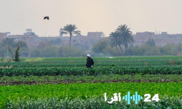 مركز المناخ يقدم توصيات للمزارعين لحماية المحاصيل من البرد القارس