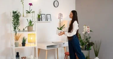 دليل تطبيق الفنج شوي في منزلك لطاقة إيجابية بلا حدود