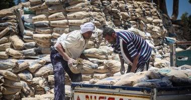 «نبض السوق العقاري» الأسمنت اليوم السبت 6 ديسمبر 2025… سعر “الصالح” عند 13 يثير التساؤلات