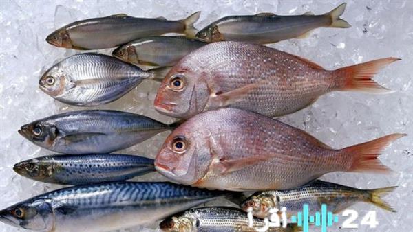 أسعار الأسماك في سوق العبور اليوم الأربعاء 31 ديسمبر 2025 البلطي يصل إلى 62 جنيها