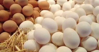 «أسعار الدواجن اليوم في كفر الشيخ: الفراخ البيضاء تتوفر بـ70 جنيها»