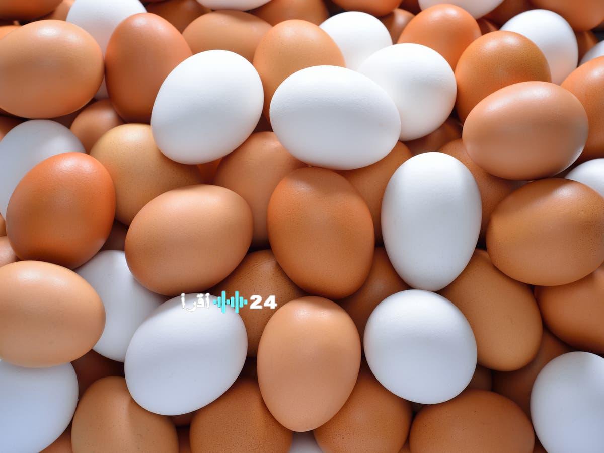 «استقرار أسعار البيض اليوم الثلاثاء 2 ديسمبر 2025»