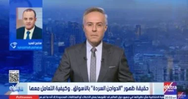 «تحذير من شعبة الدواجن» ظهور الفراخ السردة في الأسواق الشعبية.. احرصوا على الشراء من المنافذ الرسمية