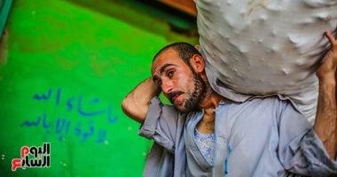 حكمة اليوم.. الرزق يحب الخفية والشيلة الثقيلة تغنى عن سؤال اللئيم