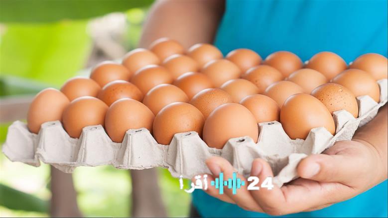 أسعار كرتونة البيض في المحلات اليوم الثلاثاء 2 ديسمبر 2025