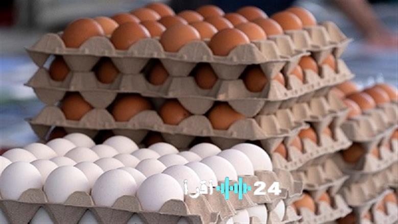 أسعار كرتونة البيض في بورصة الدواجن وأسواق المستهلك اليوم السبت 6 ديسمبر 2025