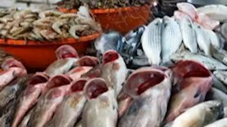 أسعار الأسماك في سوق العبور اليوم مع ارتفاع أسعار البلطي 1 يناير 2026