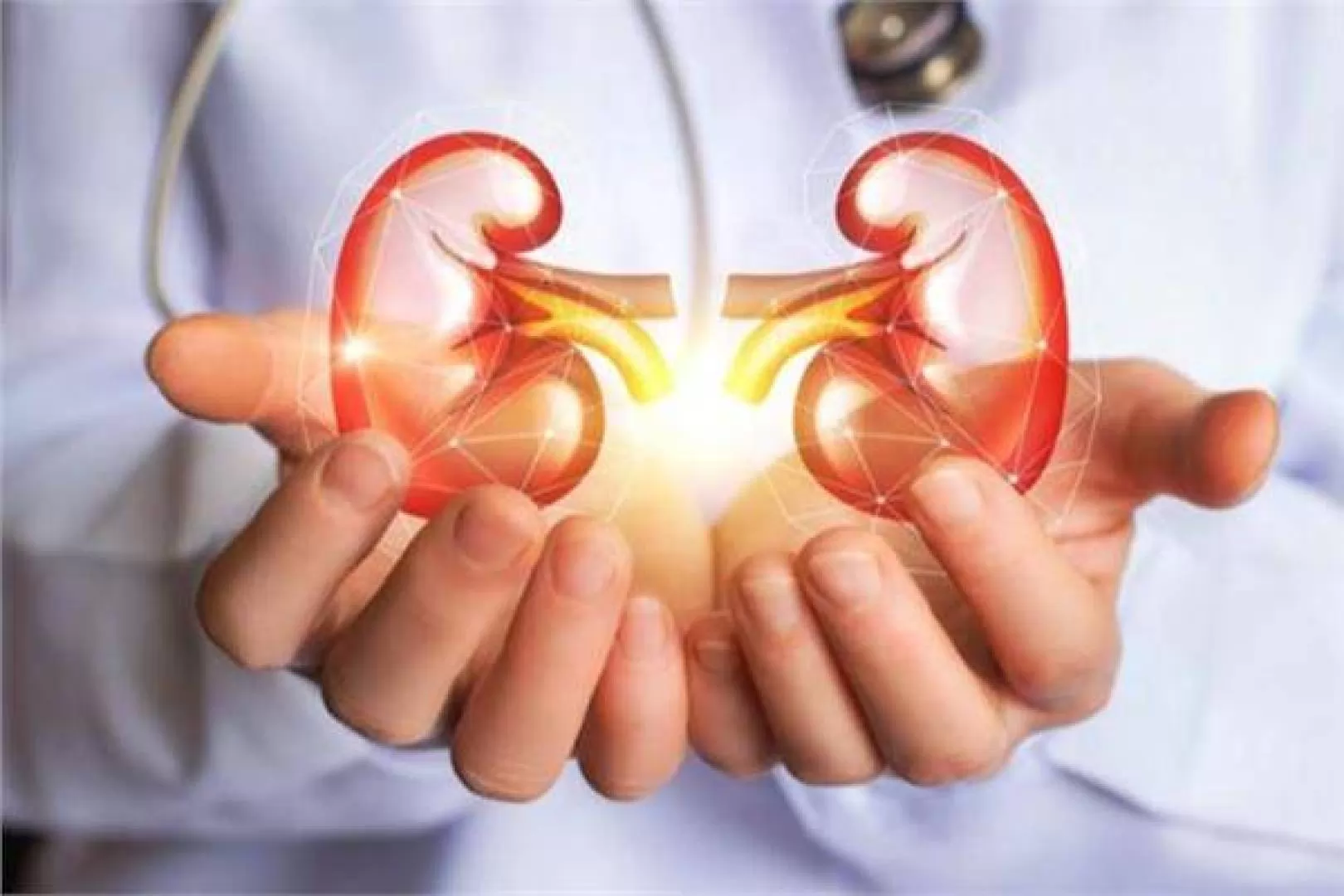 «احذروا هذه الأخطاء اليومية» 3 ممارسات شائعة تهدد صحة كليتيك وتؤدي إلى الفشل الكلوي قبل بلوغ سن الأربعين