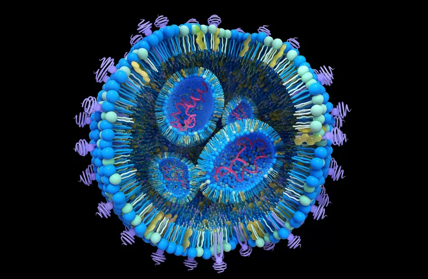 «.مفتاح فهم الحياة الخلوية.» آفاق جديدة: بحث رائد يفك شفرة التنظيم الدقيق للتناغم الخلوي