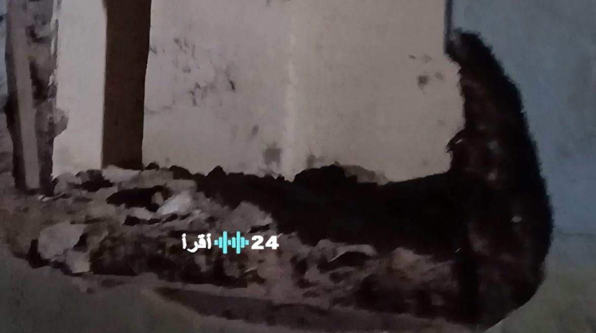 هبوط أرضي مفاجئ يتسبب في تشريد 8 أسر بشوارع قرية جريس في المنوفية