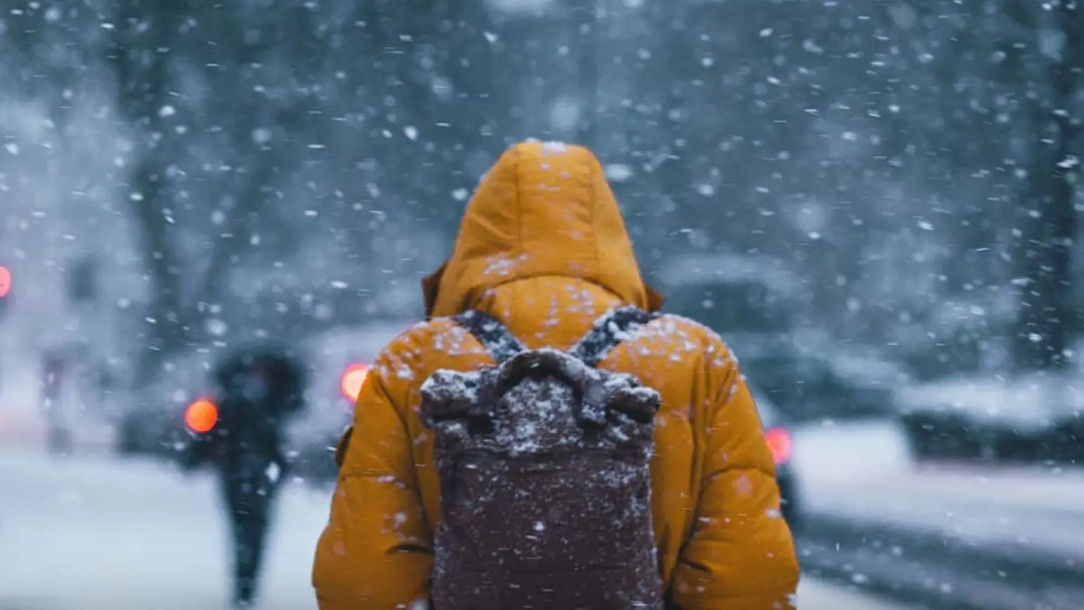 «تحذيرات من الصقيع والشبورة» حالة الطقس المتوقعة غدًا في القاهرة والمحافظات