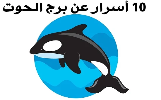 توقعات برج الحوت ليوم 29 ديسمبر تشمل نصائح مهنية وعاطفية وصحية