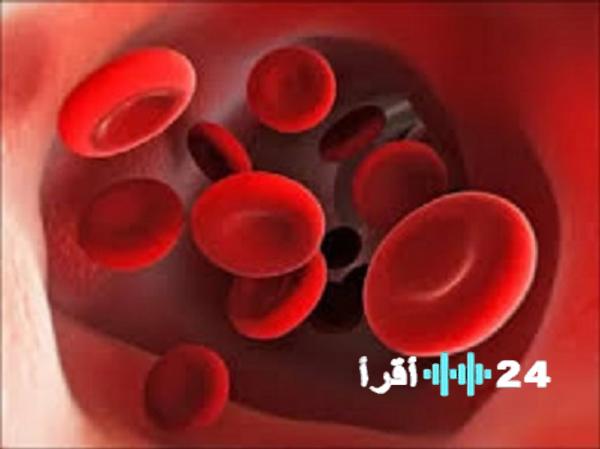 القلعة نيوز تكشف عن مخاطر نقص الحديد في الجسم