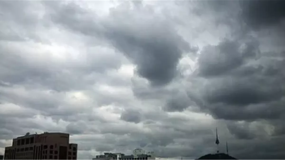 الأرصاد الجوية تعلن تفاصيل حالة الطقس اليوم الجمعة 19 ديسمبر 2025 مع توقعات بسحب وفرص أمطار