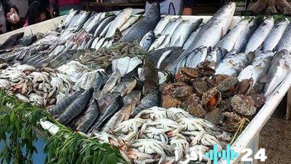 استقرار نسبي في أسعار الأسماك والمأكولات البحرية في أسواق الإسكندرية