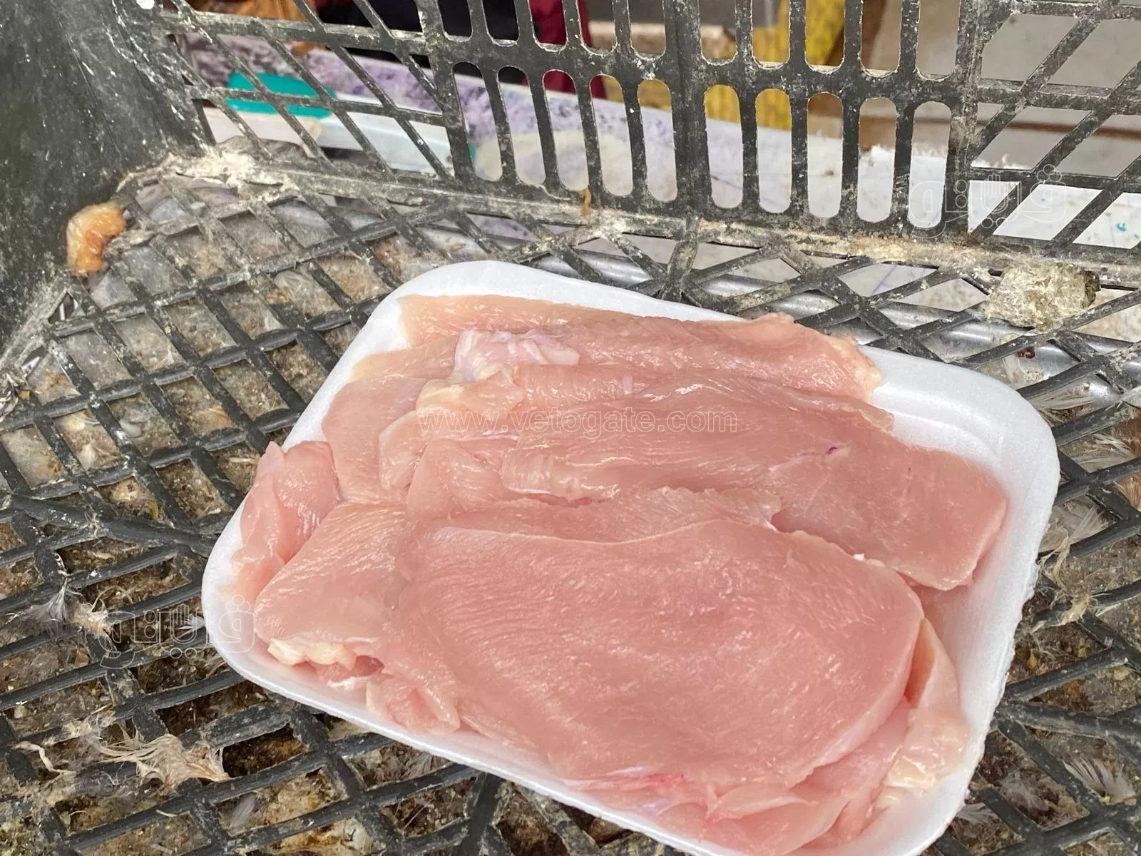 أسعار البانيه في الأسواق اليوم الثلاثاء ارتفاع محدود مع استمرار الإقبال