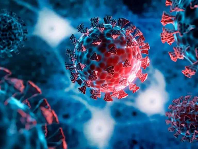 كل ما تحتاج معرفته عن فيروس H3N2 من أسبابه وأعراضه وطرق الوقاية منه