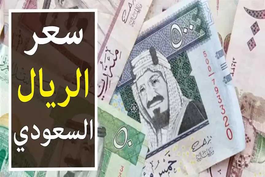 استقرار الريال السعودي أمام الجنيه المصري أسعار العملات في البنوك اليوم