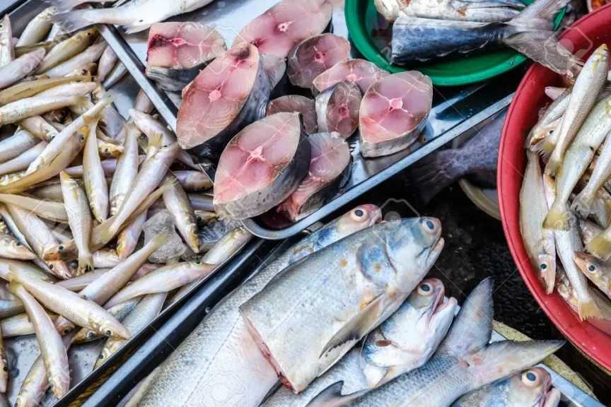 تحرك جديد لأسعار السمك والجمبري بسوق العبور القائمة الكاملة اليوم