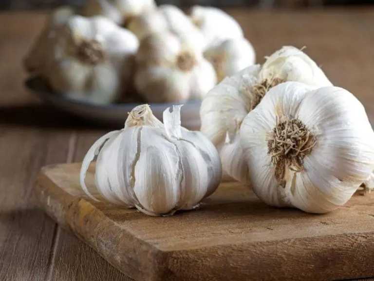 ثوم مطهر طبيعي قد يتفوق على غسول الفم في نتائج مذهلة