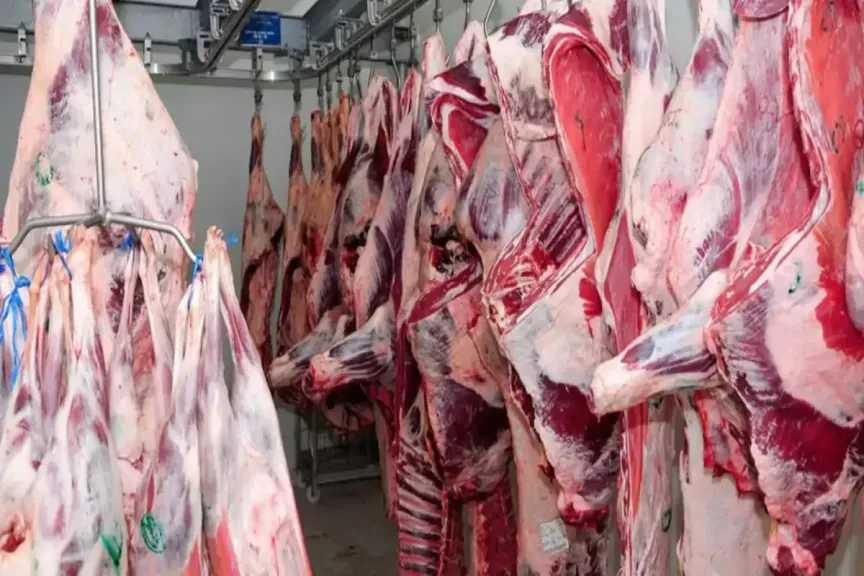 أسعار اللحوم اليوم الأربعاء تشمل أحدث أسعار الكندوز والضاني في الأسواق