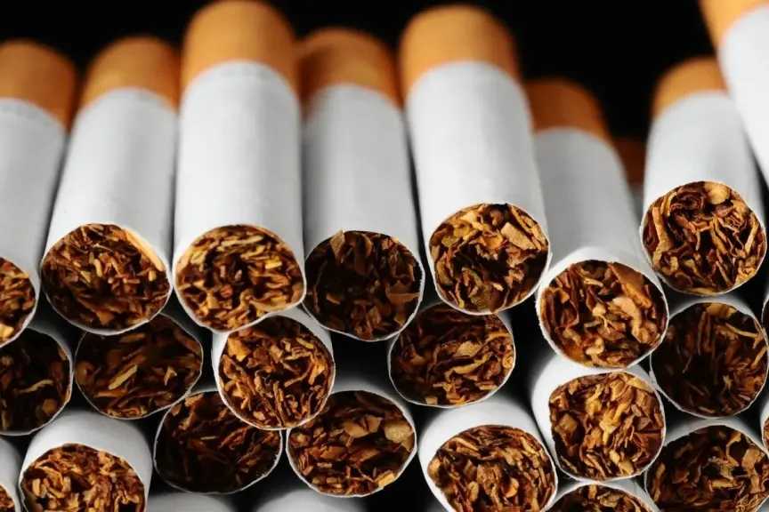 استقرار أسعار السجائر في نهاية 2025 وسعر علبة الكليوباترا الحالي