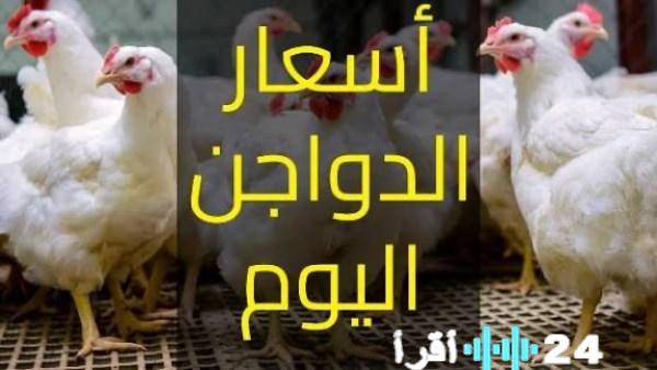 «تقرير خاص» الدواجن تحافظ على ثبات أسعارها الثلاثاء 2 ديسمبر