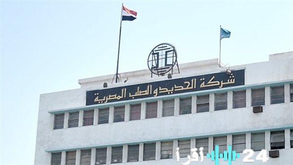 انخفاض سهم الحديد والصلب المصرية بأكثر من 2.5% مع تسجيله 35 جنيهاً اليوم