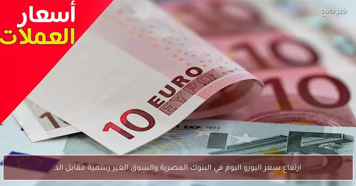 «تغيرات ملحوظة» ارتفاع سعر اليورو اليوم في البنوك المصرية والسوق الموازي أمام الجنيه المصري