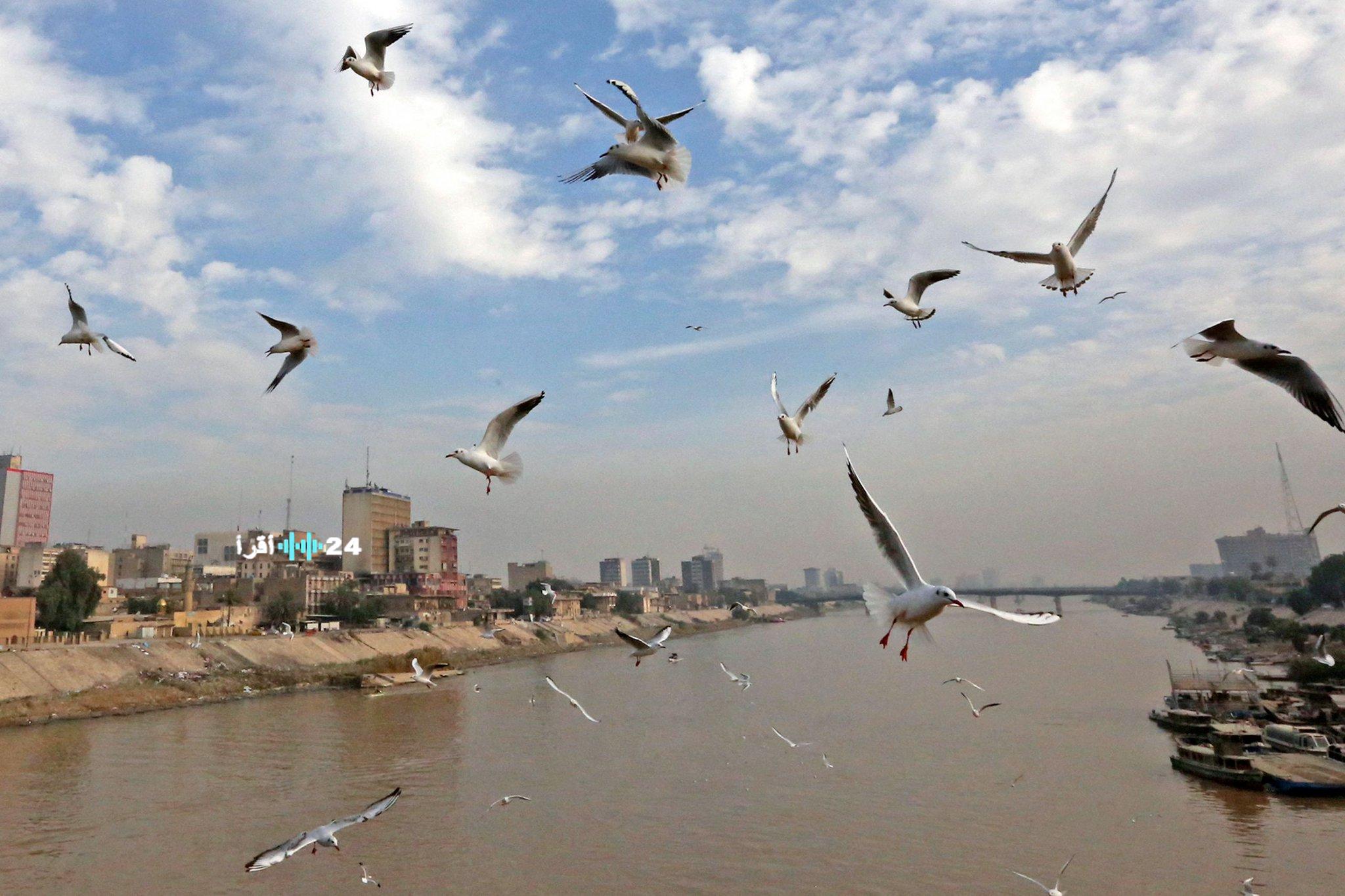 توقعات محدثة للطقس في العراق ليومي الخميس والجمعة حسب الأنواء الجوية