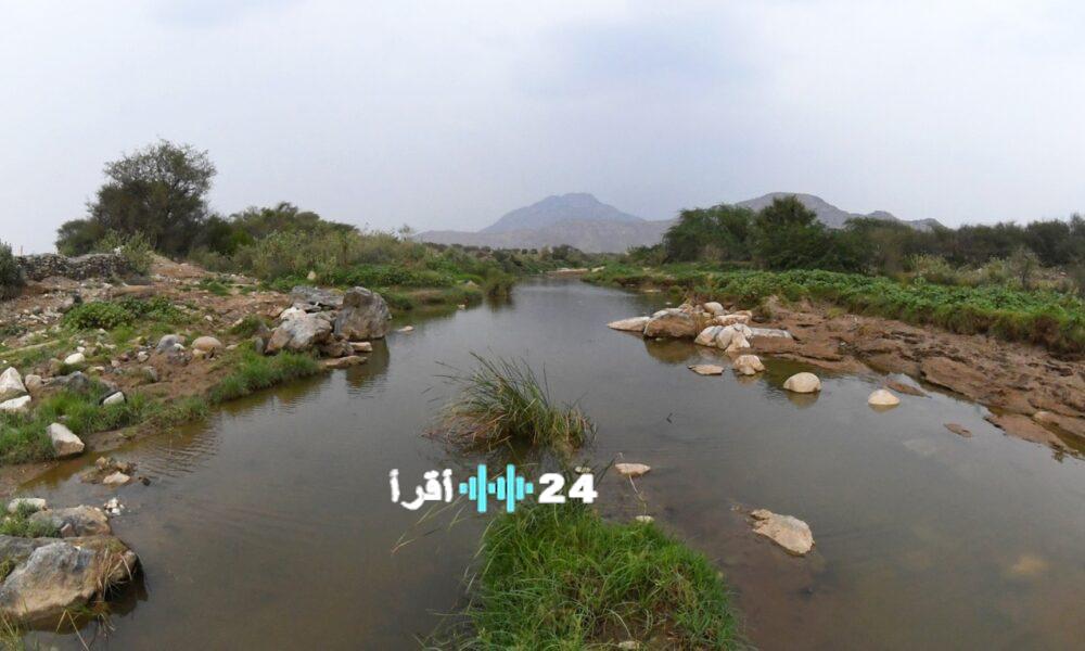 اكتشاف 165 نوعًا نباتيًا في منطقة عسير تماشيًا مع رؤية السعودية 2030