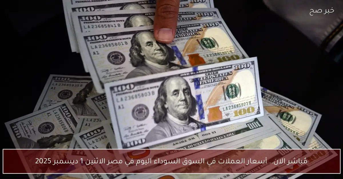 «أسعار العملات في السوق السوداء بمصر اليوم الاثنين 1 ديسمبر 2025»
