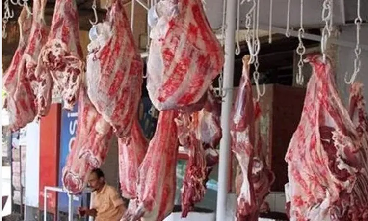 «أسعار اللحوم تتصدر المشهد اليوم الأحد 18 يناير 2025»