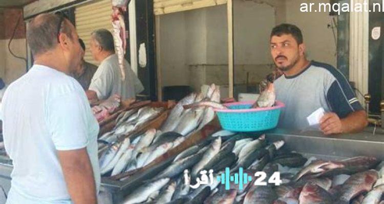 استقرار أسعار الأسماك في الإسكندرية مع تسجيل البلطى عند 85 جنيهًا