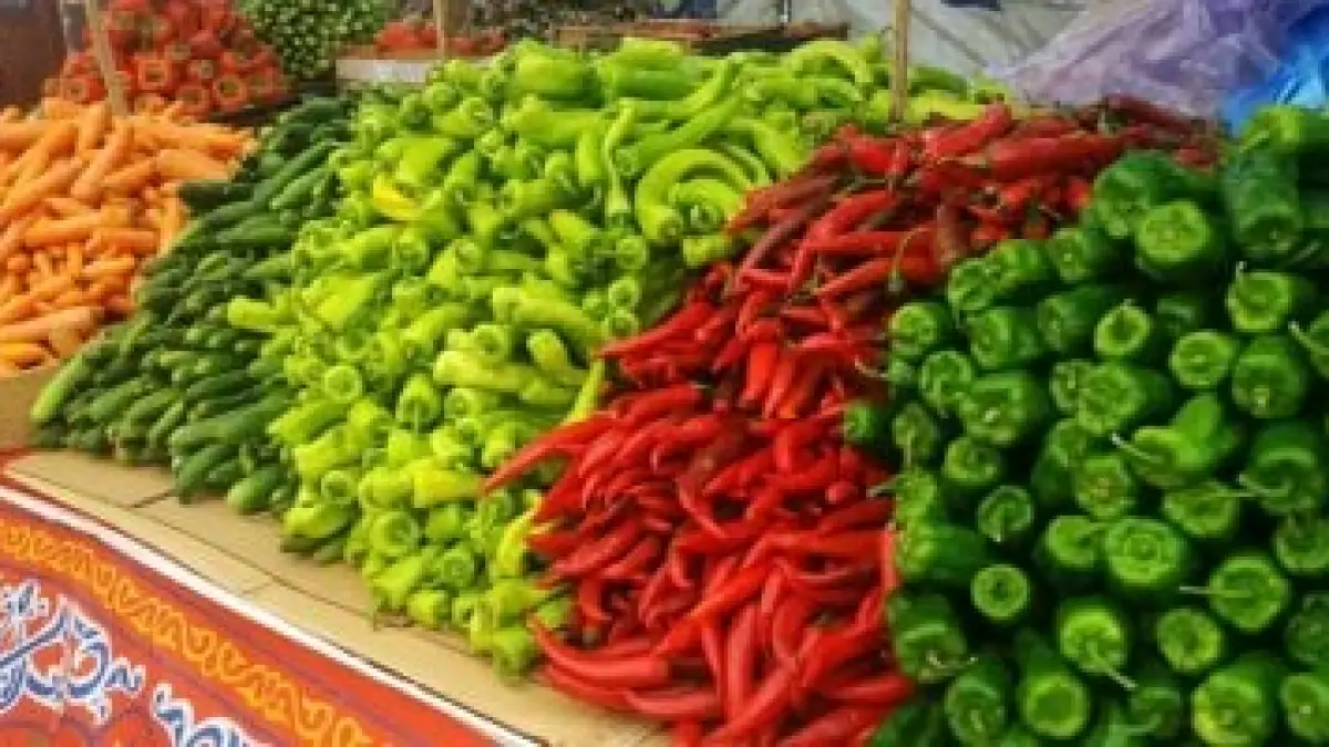 آخر تحديث لأسعار الخضروات والفاكهة في أسواق المنوفية اليوم الجمعة