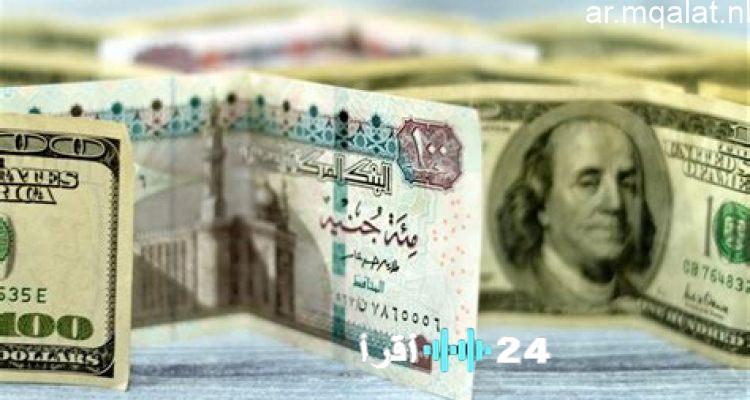 «نبض السوق لحظة بلحظة» تحديث فوري لأسعار الدولار في البنوك المصرية