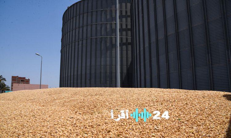 «تراجع ملحوظ في واردات القمح» خبير اقتصادي يشرح أسباب انخفاضها بنسبة 22.8% خلال 10 أشهر من العام الحالي