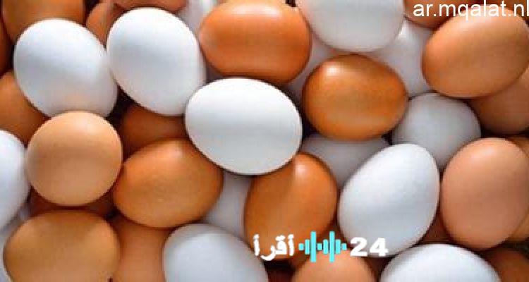 «أفضل تجربة شراء بطاقة شحن بأفضل الأسعار» عروض بطاقة الشحن البيضاء بسعر 117 جنيهاً