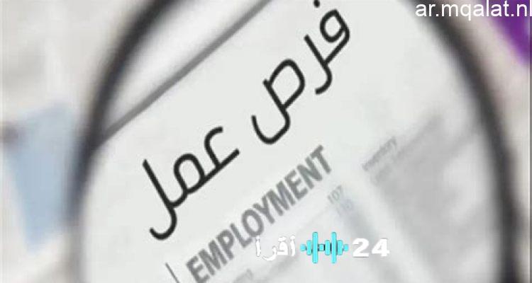 وزارة العمل تطرح فرص عمل جديدة بالجيزة برواتب تصل إلى 8000 جنيه