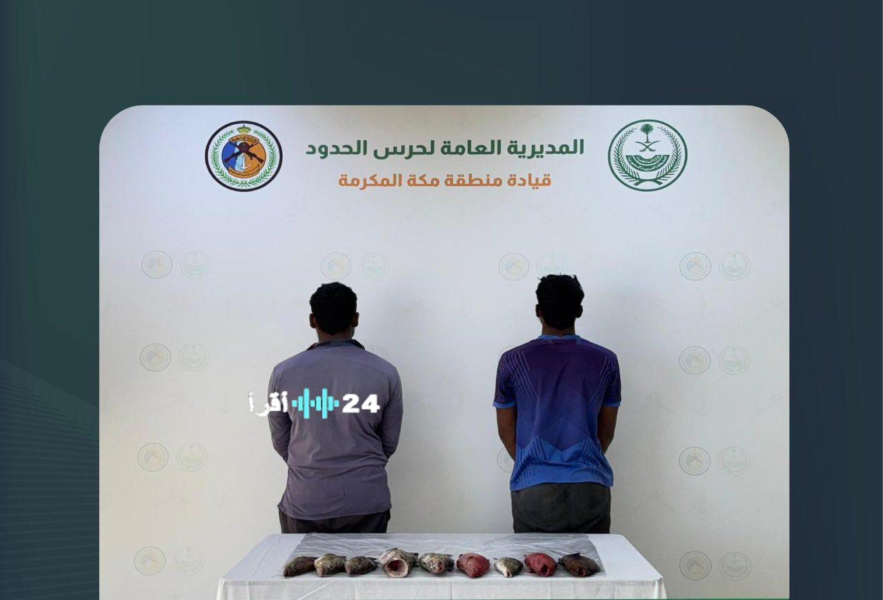 القنفذة: ضبط مقيمين يزاولون أنشطة بحرية غير مرخصة