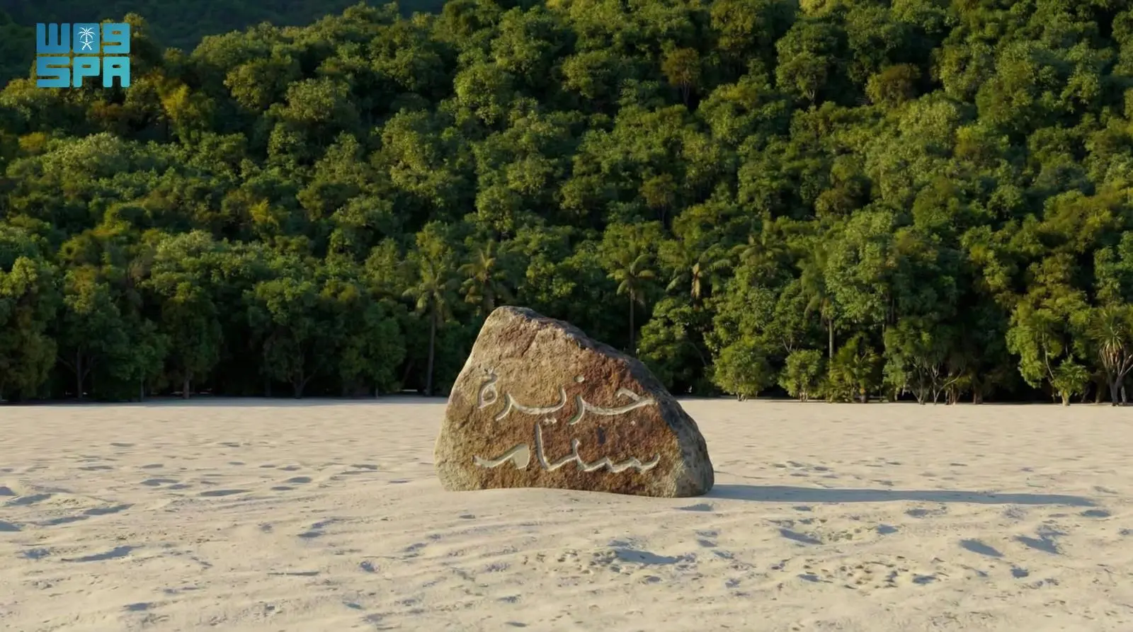 جزيرة خاصة: الجائزة الكبرى لفائز مسابقة منصة “سنام” بمهرجان الملك عبدالعزيز للإبل