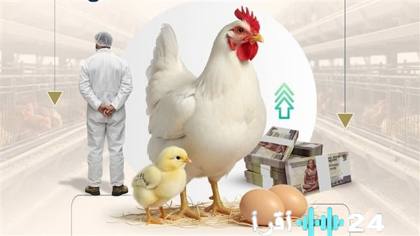 استثمارات بنحو 200 مليار جنيه وخلق 3.6 مليون وظيفة لتعزيز قطاع الدواجن في مصر