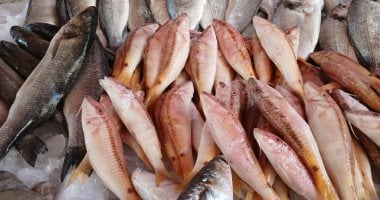 أسعار الأسماك اليوم في أسواق دمياط الأحد