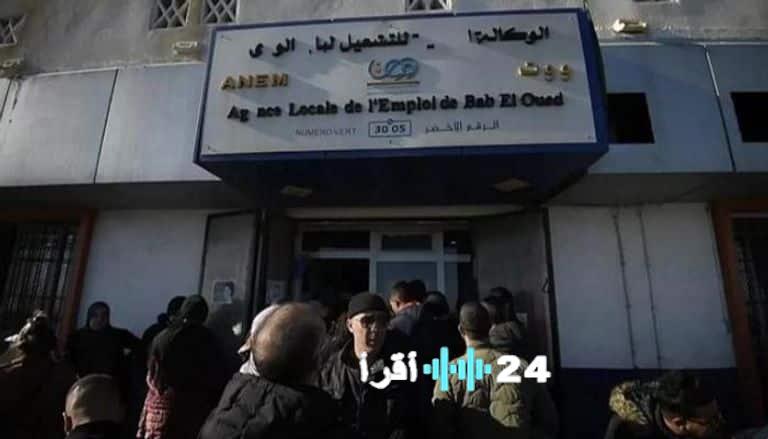 «حصريًا» رابط تجديد منحة البطالة 2025 في الجزائر متاح عبر موقع الوكالة الوطنية للتشغيل