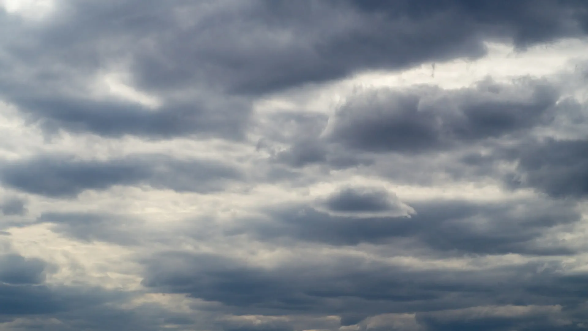 أمطار رعدية ورياح قوية تؤثر على الرؤية غداً