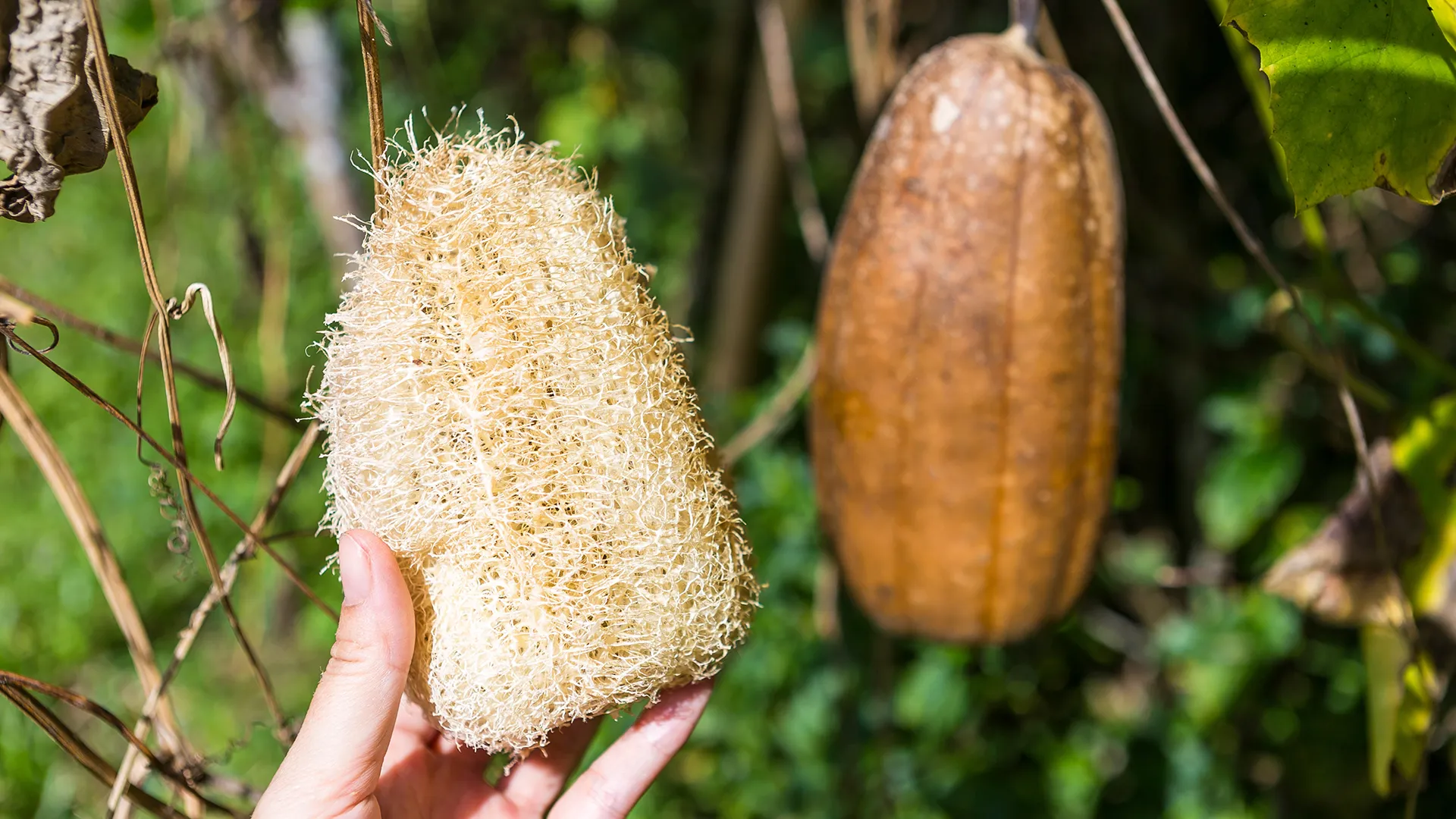 «ابتكار مثير للجدل: “ليفة صينية” تخفي الطائرات الحربية في عالم الدفاع»