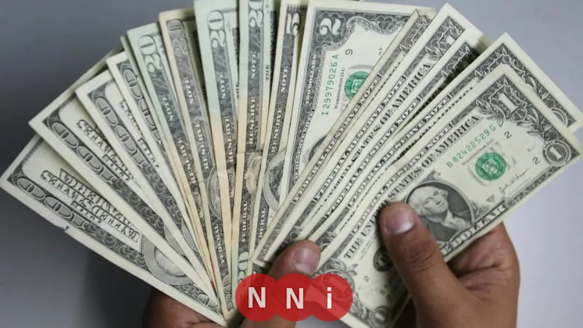 «أسعار الدولار أمام الجنيه في البنوك ليوم الإثنين 1 ديسمبر 2025»